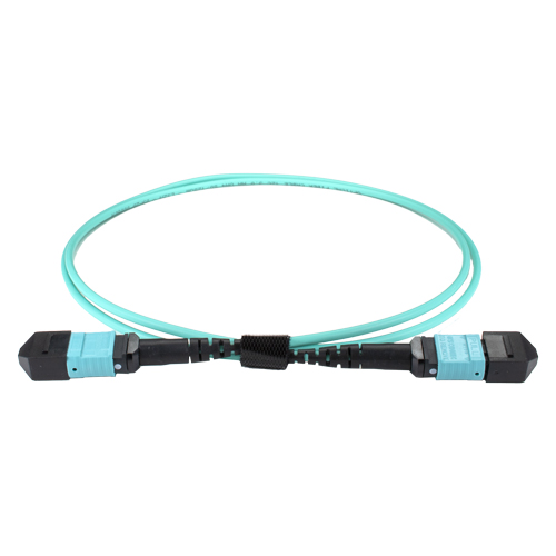 1m OM4 BASE-12 MPO (f) to MPO (f) 12F Aqua Trunk CPR Cable Method B